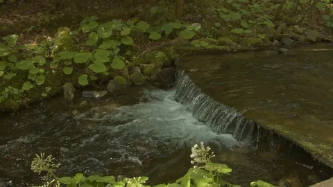 Mountain stream in the Carpathian mountains at spring Video stock 80513626