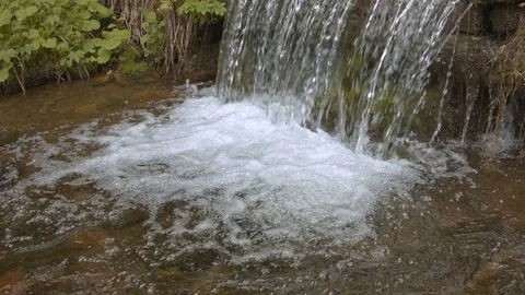Mountain stream in the Carpathian mountains at spring Video stock 80532612