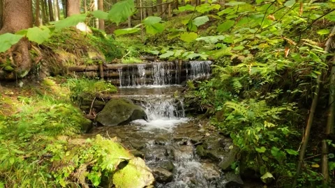 Mountain stream cascade in green forest nature background Stock Footage 228787231