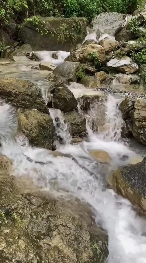 Mountain Stream Cascade Over Mossy Rocks Stock-Footage 341629117
