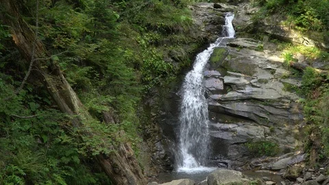 Mountain stream cascade runs between rocks among deep forest Stock Footage 116868363