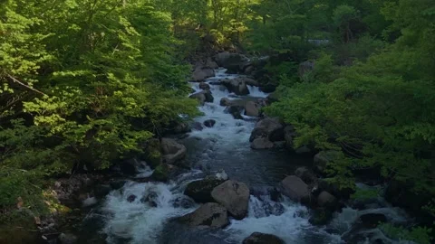 Mountain Stream with Cascades and Clear Water in Japan Video stock 336035620