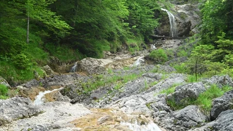  A mountain stream cascades over rocks in a forest Stock Footage 260869186