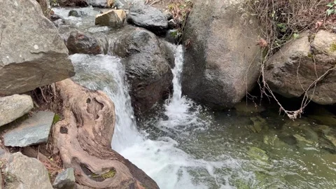 Mountain stream cascades over rocky boulders in wild natural landscape with Stock-Footage 334319965