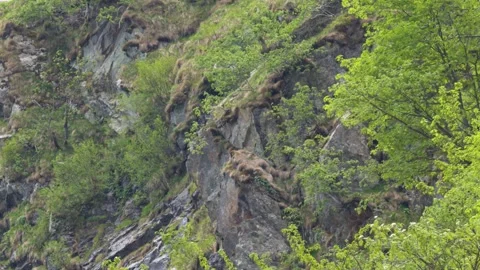 Mountain Stream Cascading Down Rocky Cliff Near Lago della Rovina Stock Footage 341644508
