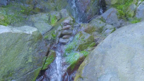 Mountain Stream Cascading Over Mossy Rocks Stock Footage 283705884