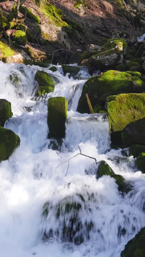Mountain stream cascading over mossy rocks in a sunlit forest Stock Footage 347632987