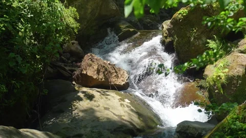 Mountain stream cascading over rocks in a green forest Stockbeeldmateriaal 346777361