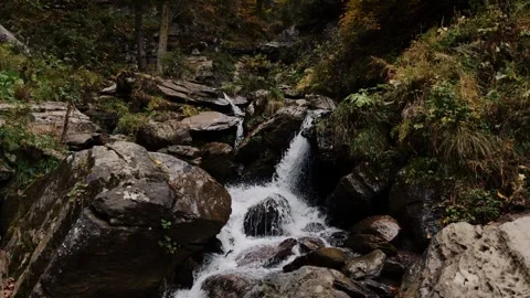 Mountain stream cascading over rocks in autumn forest 動画素材 347734005