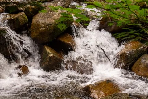 A mountain stream cascading over rocks into a pool Stock Photos