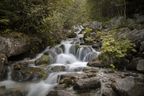 Mountain stream cascading over rocks through forest Stock Photos
