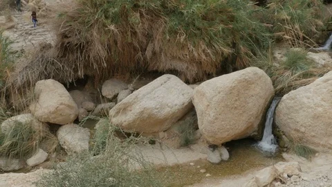 Mountain stream cascading over rocky waterfalls Stock Footage 124008250