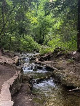 Mountain Stream Cascading Through Forest Trail Foto stock