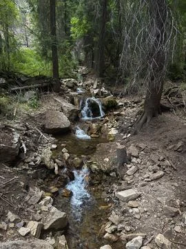 Mountain Stream Cascading Through Forest Trail Stock Photos