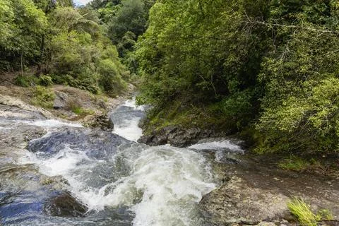 Mountain Stream Cascading Through Lush Forest Gorge Stock-Fotos
