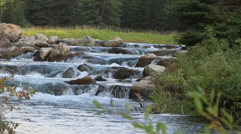 Mountain stream cascading waterfall Stock Footage 42475473