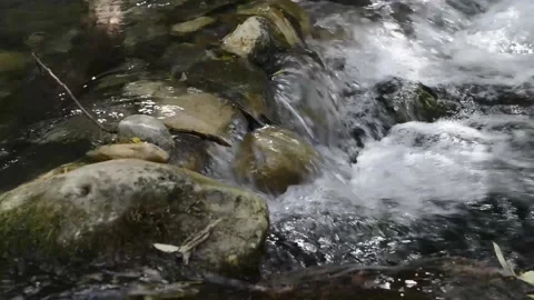 Mountain stream of clean and clear waters flowing between rocks. Stock Footage 135605911