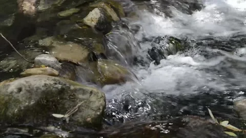 Mountain stream of clean and clear waters flowing between rocks. Stock Footage 135605926