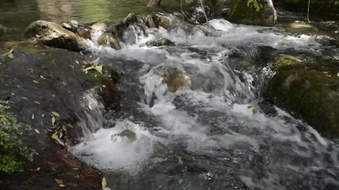 Mountain stream of clean and clear waters flowing between rocks. Stock Footage 135605955