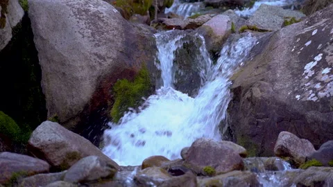 Mountain stream with clean drinking water 스톡 동영상 219008814