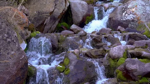 Mountain stream with clean drinking water Stockbeeldmateriaal 219009129
