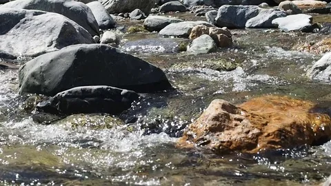 Mountain stream with clean water. Stock Footage 78637514