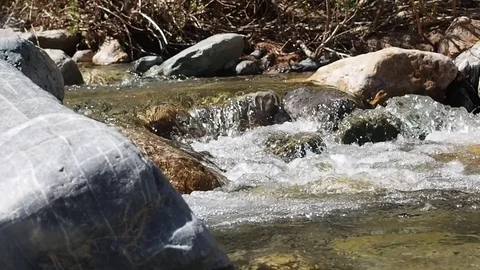 Mountain stream with clean water. Stock Footage 78637614