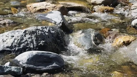 Mountain stream with clean water. Stock Footage 78637812