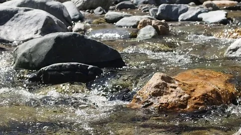 Mountain stream with clean water. Stock Footage 78638145
