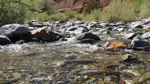 Mountain stream with clean water. Stock Footage 78638220
