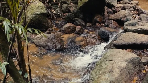 Mountain stream with clean water Stock-Footage 84137262