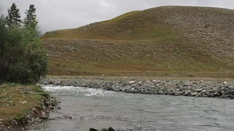 Mountain stream with clean water. Stock Footage 95036646