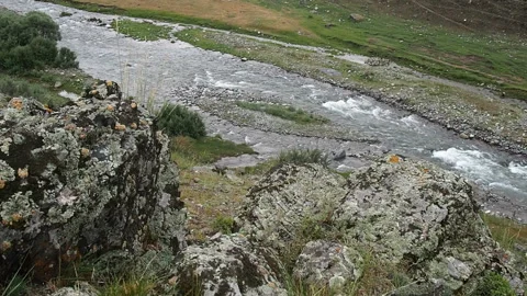 Mountain stream with clean water. Stock Footage 95036695