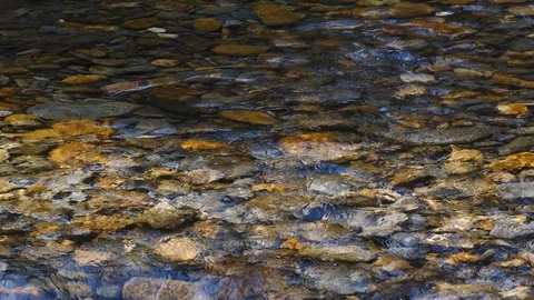 Mountain Stream with clear flowing water deep in the forest Stock-Footage 105821448