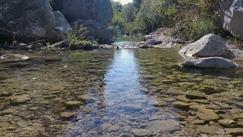 Mountain stream with clear, fresh and cold water Stock Footage 98236316