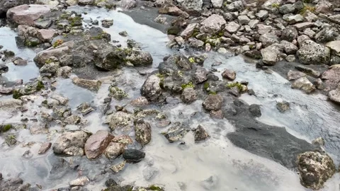 Mountain stream with clear water. Drinking water pours over the stones Video stock 140523523