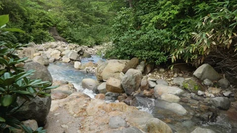 Mountain stream with clear water flowing in the jungle 動画素材 136076222