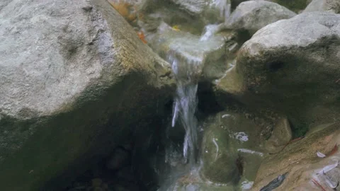 Mountain stream with clear water flowing through stones in autumn nature s Stock Footage 143934182