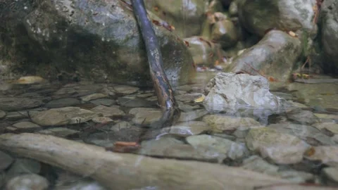 Mountain stream with clear water flowing through stones in autumn nature g Stock Footage 143935012