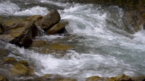 Mountain stream with clear water. Stock Footage 109563304