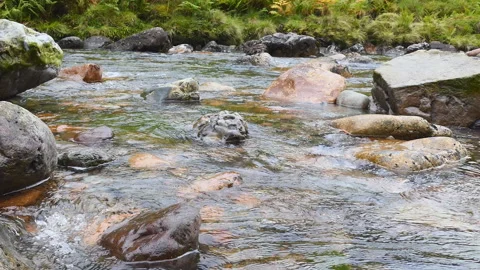 A mountain stream with clear water. Stock Footage 112680460