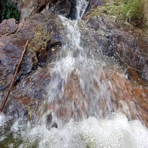 Mountain stream with clear water. Gran Canary. Spain Stock Footage 69725038