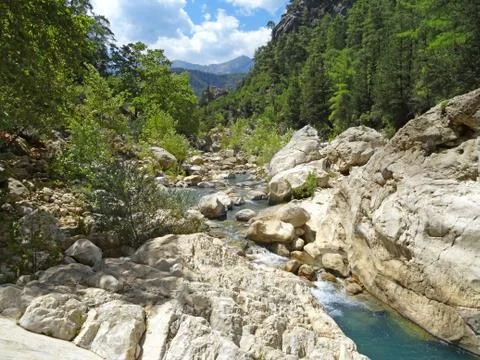 Mountain stream with clear water Foto stock