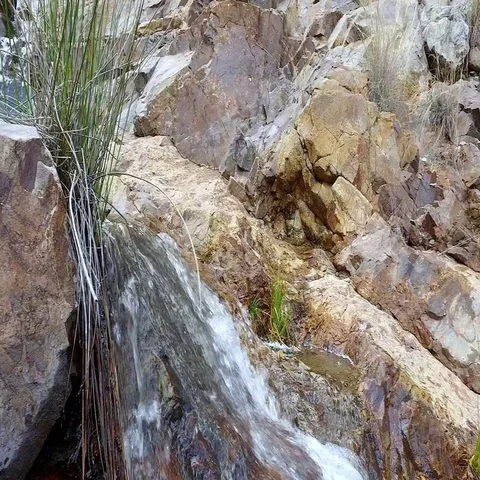 Mountain stream with clear water. Spain, Gran Canaria Stock Footage 69736378