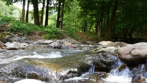Mountain stream, clear water washes the stone Stock Footage 109299757