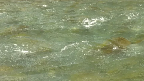 Mountain Stream Close-up - Alpine River 4K Nature Background Video stock 108858264