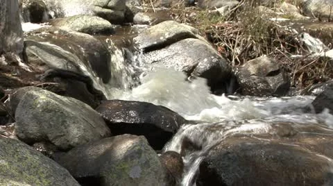 Mountain stream, close-up Stock Footage 12766459