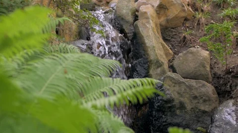 Mountain stream close up Stock Footage 96984170