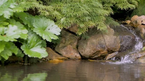 Mountain stream close up Stock Footage 96984278