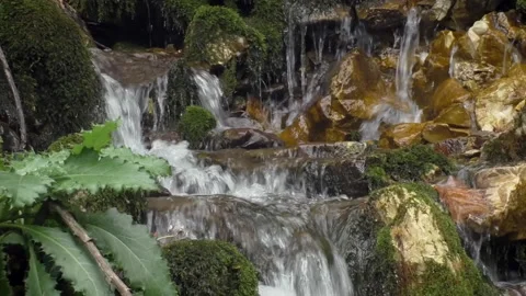 Mountain stream close up Stock Footage 104074460